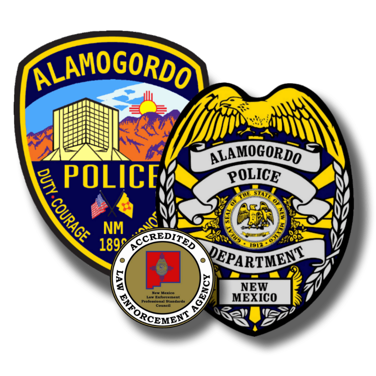 Current Badge, Patch and Accred logo- PNG