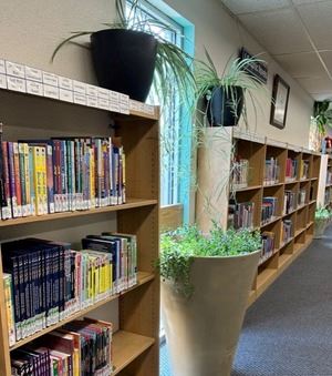 Bookshelves and plants in the children's room